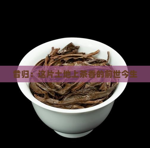 昔归何时开始种茶的