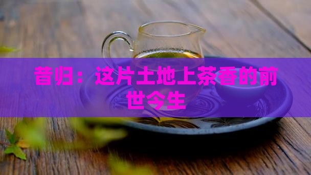 昔归何时开始种茶的