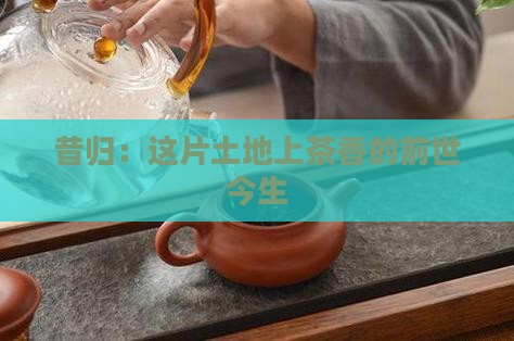 昔归何时开始种茶的