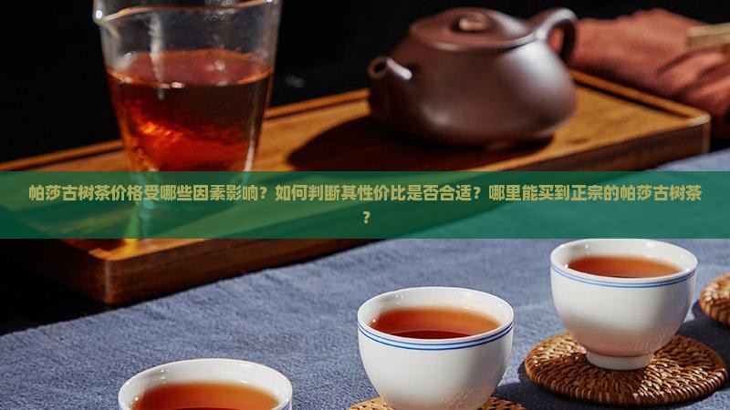 帕莎古树茶价格