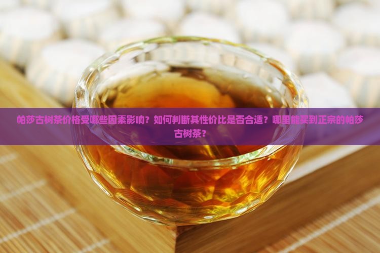 帕莎古树茶价格