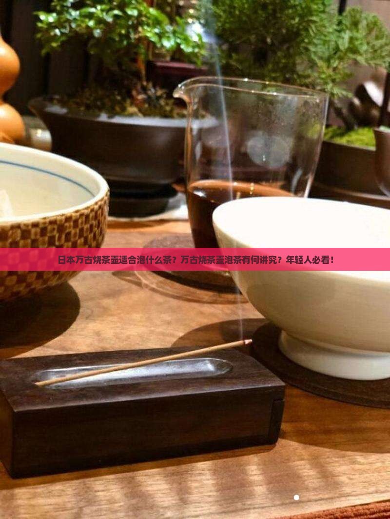 日本万古烧茶壶适合泡什么茶
