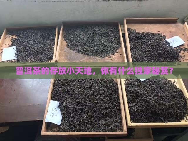 普洱茶存茶架子
