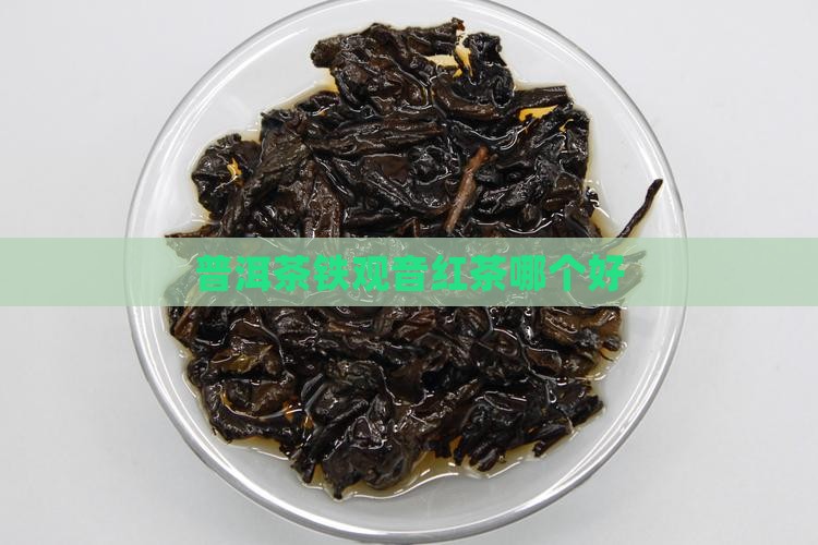 普洱茶铁观音红茶哪个好