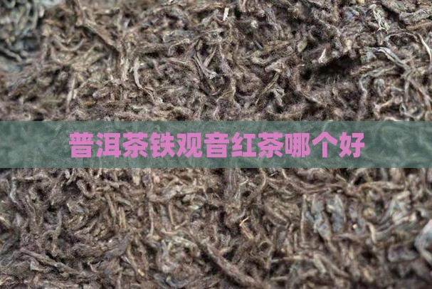 普洱茶铁观音红茶哪个好