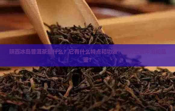 陕西冰岛普洱茶