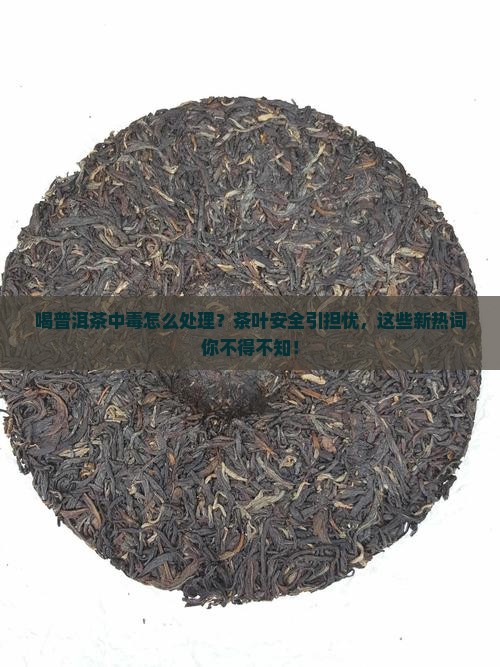 喝普洱茶中毒怎么处理
