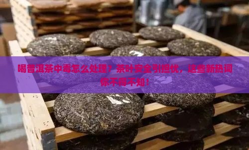 喝普洱茶中毒怎么处理