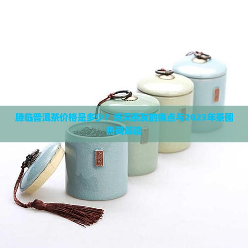 滕临普洱茶价格
