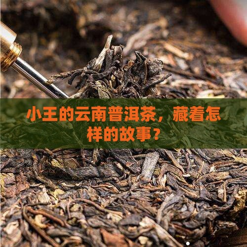 小王云南普洱茶