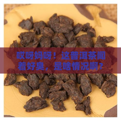 普洱茶闻起臭臭的是什么茶