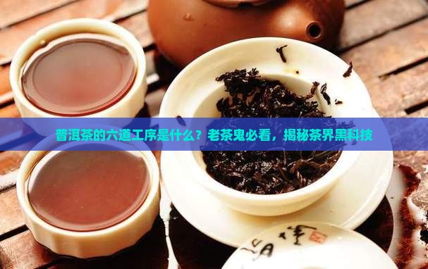 普洱茶的六道工序