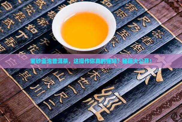 普洱茶紫沙壶泡法步骤