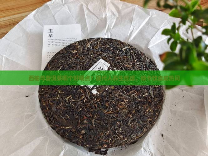 西柚与普洱茶哪个好喝点
