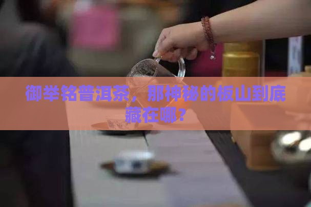 御举铭普洱茶普洱板山在哪里