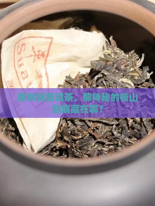 御举铭普洱茶普洱板山在哪里