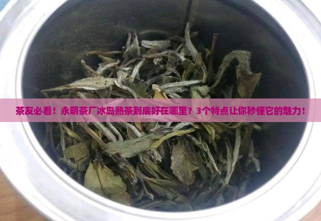 永明茶厂冰岛熟茶特点介绍