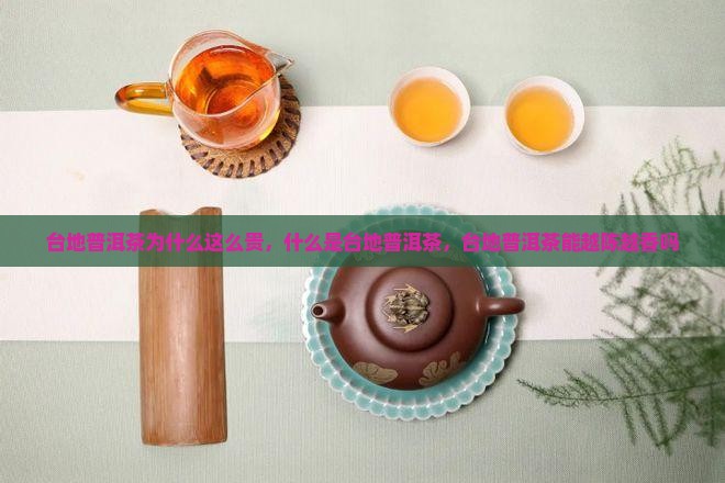 台地普洱茶为什么这么贵