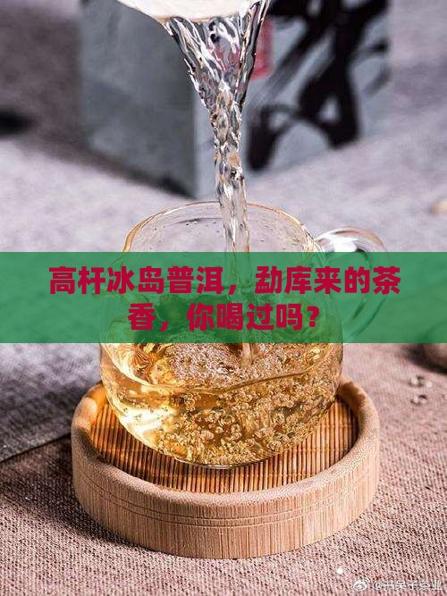 勐库高杆冰岛普洱茶