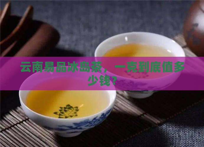 云南易品冰岛茶多少钱一克