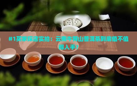 云南牛背山普洱茶的特点