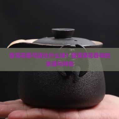 普洱花香可进化什么味