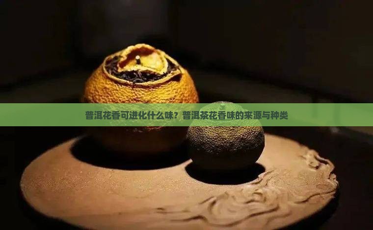 普洱花香可进化什么味