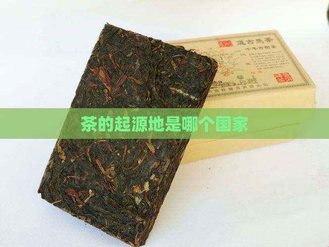 茶的起源地是哪个国家