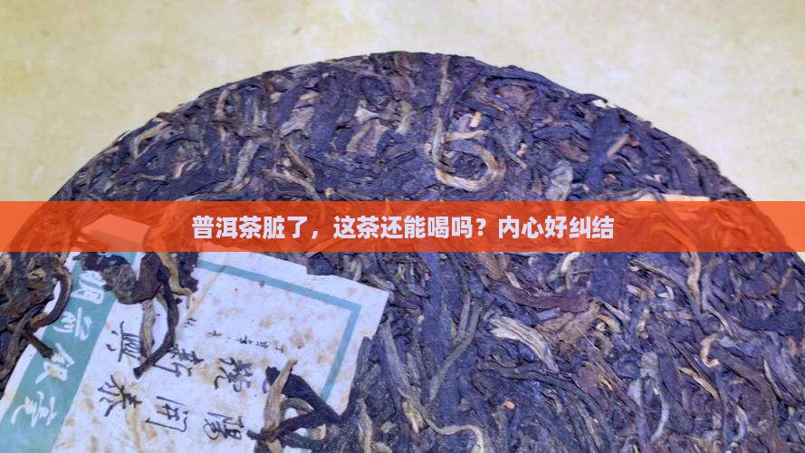 普洱茶脏到底好不好