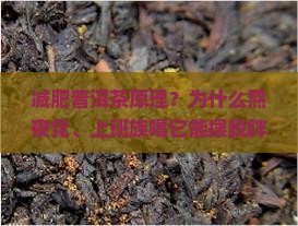 减肥普洱茶原理