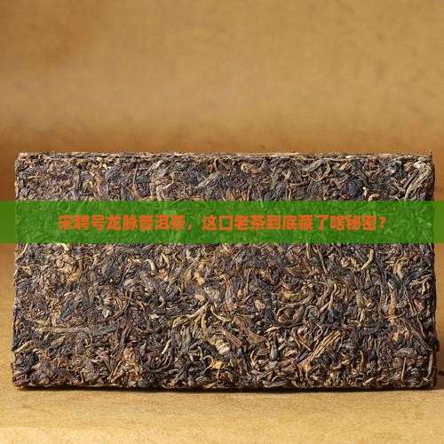 宋聘号龙脉普洱茶