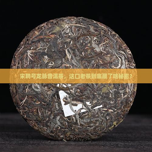 宋聘号龙脉普洱茶