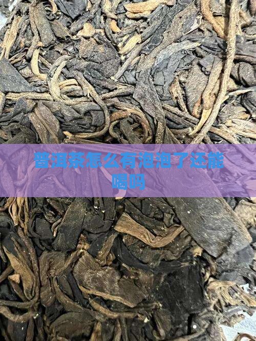 普洱茶怎么有泡泡了