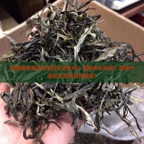 菩提根用普洱茶泡