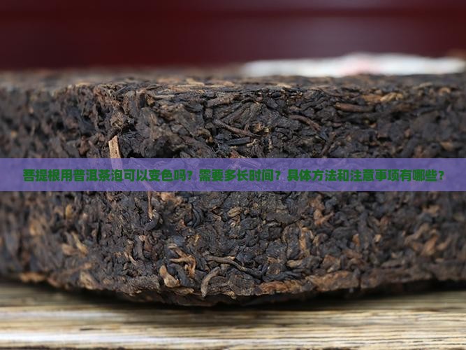 菩提根用普洱茶泡