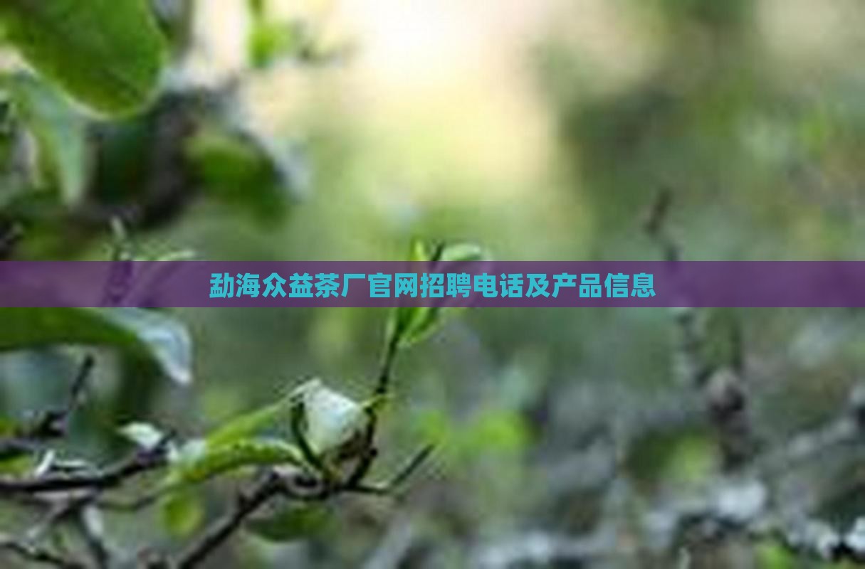 勐海众益茶厂官网