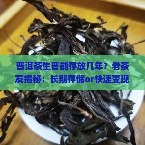 普洱茶生普能存放几年