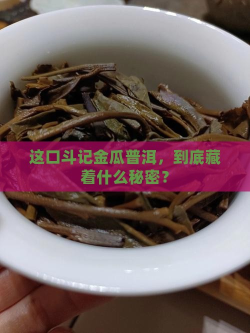 斗记金瓜普洱茶