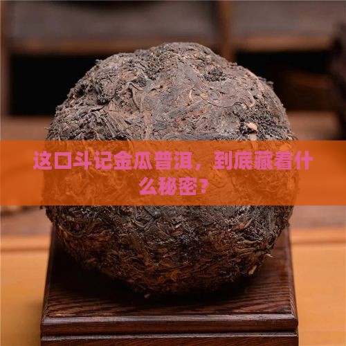 斗记金瓜普洱茶
