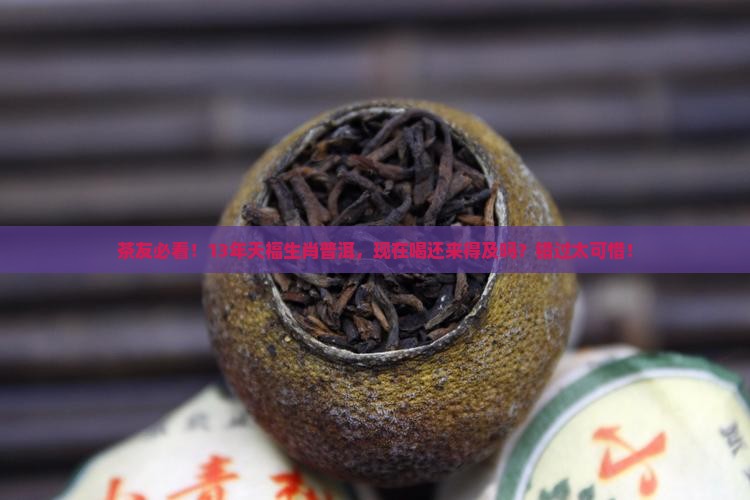 天福茗茶生肖普洱茶13年