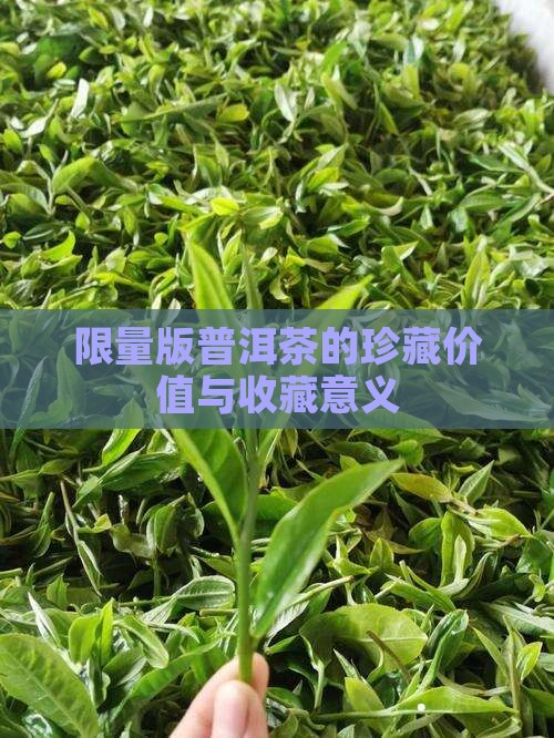 限量版的普洱茶好吗 限量版的普洱茶好吗
