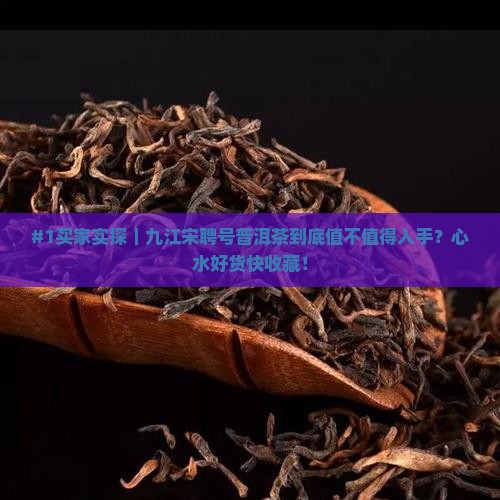 九江宋聘号普洱茶
