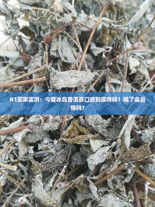 今隆冰岛普洱茶怎么样