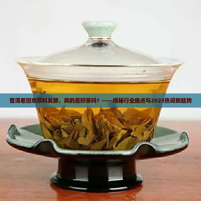 普洱老班章原料发酵