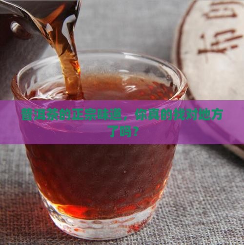 哪里才能买到正宗普洱茶