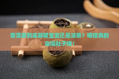 普洱茶是性温还是性寒