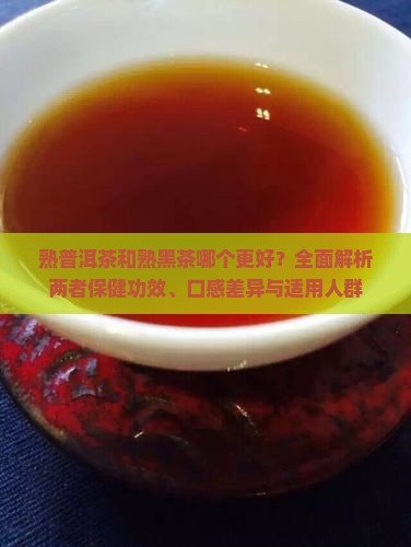 熟普洱茶和熟黑茶哪个好