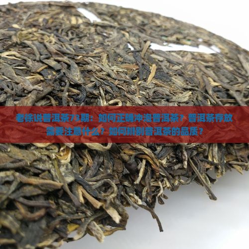 老徐说普洱茶73期 老徐说普洱茶73期