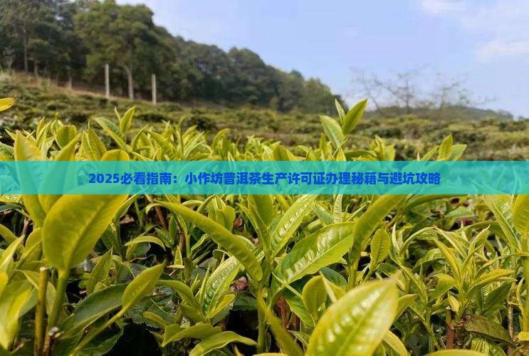 小作坊普洱茶生产许可证