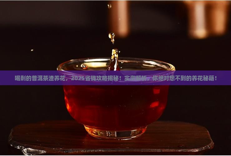 喝剩的普洱茶渣养花